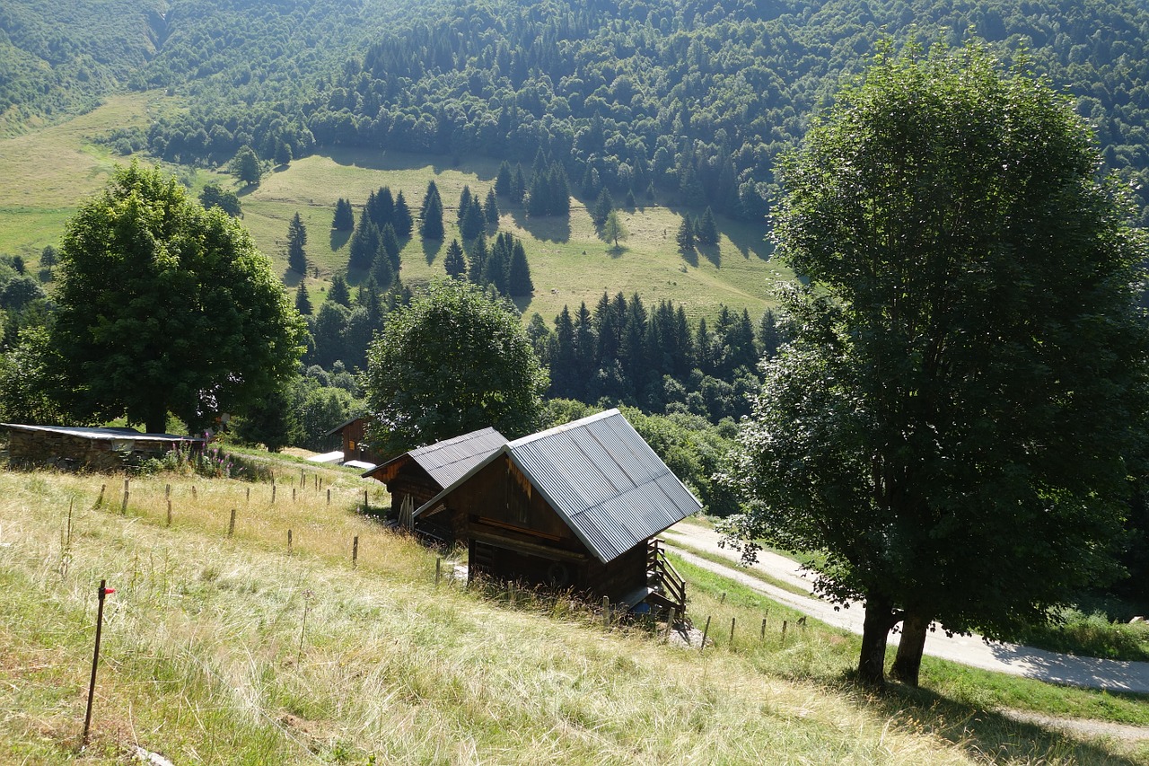 Kalnas, Chalet, Alpės, Kaimiškas, Hautes Alpes, Fasadas, Architektūra, Savoie, Maurienne, Pieva