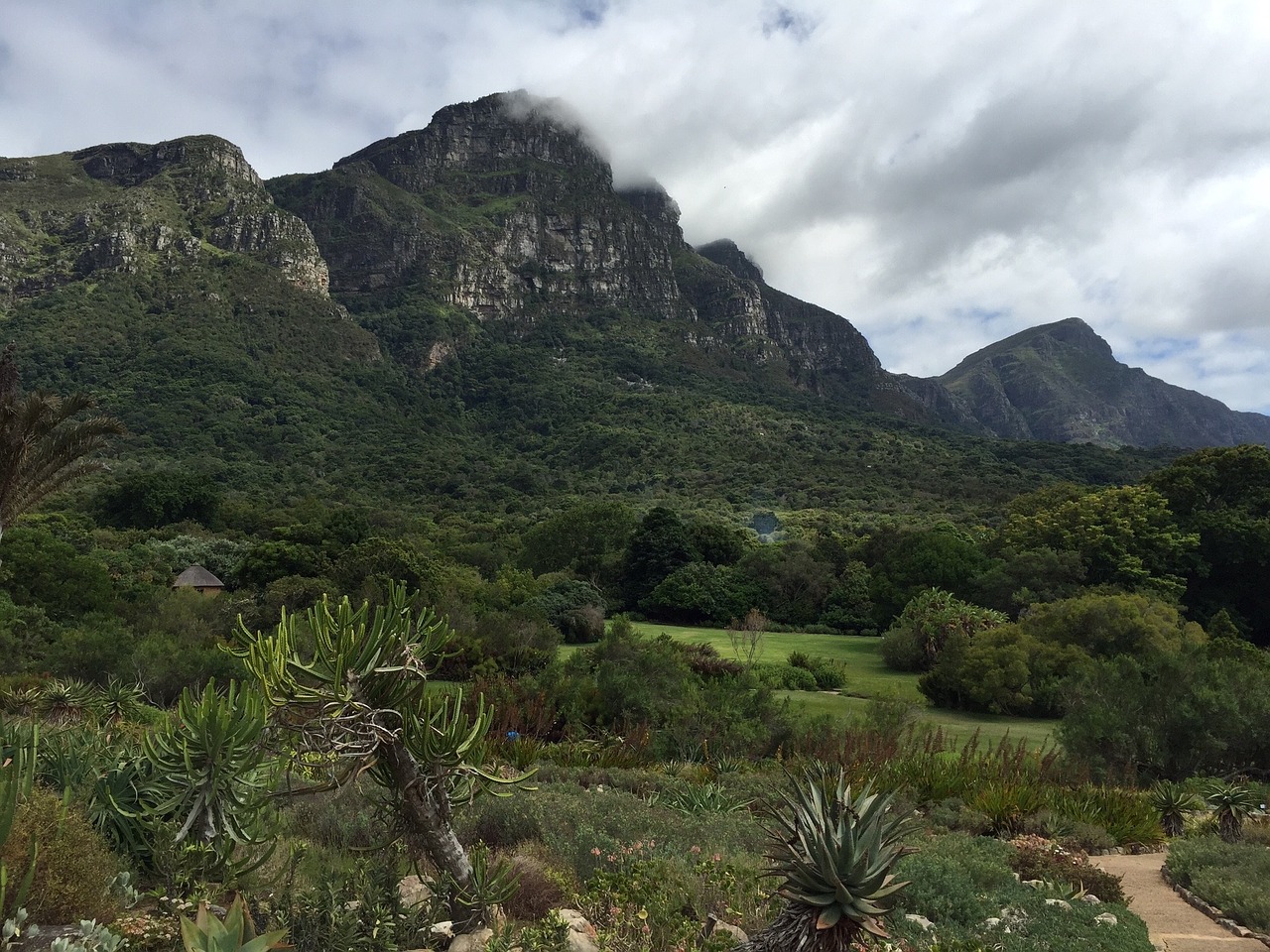 Kalnas, Kirstenbosch, Botanikos, Į Pietus, Afrika, Nacionalinis, Parkas, Rezervas, Stalas, Cape Town