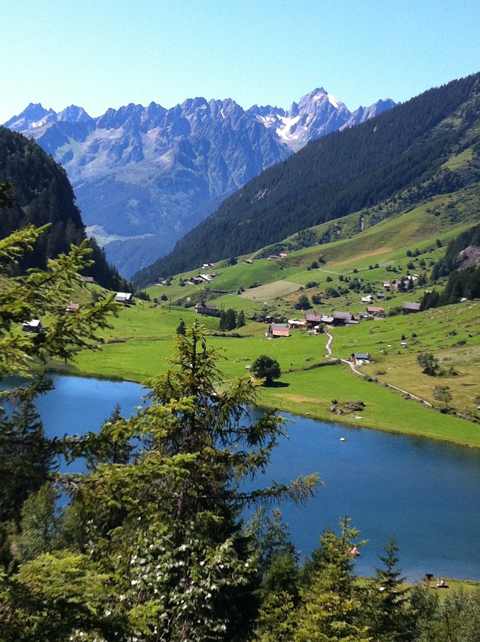 Kalnų Oras, Alpių, Šveicarija, Gamta, Alp, Vasara, Bergsee, Alpių Ganyklos, Žygiai, Kalnų Pieva