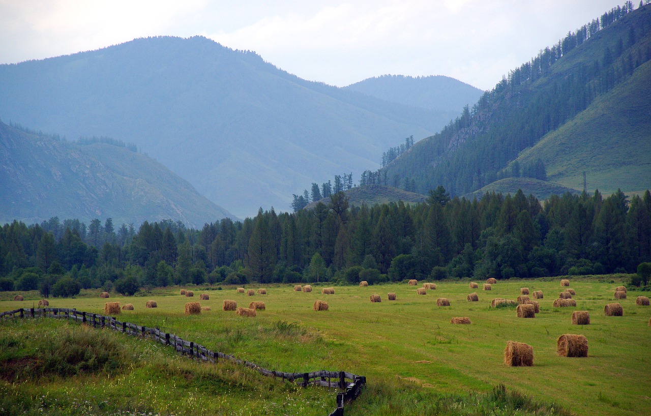 Kalnų Altai, Kraštovaizdis, Kalnai, Gamta, Dangus, Vasara, Siberija, Medžiai, Kelionė, Upės Krantas