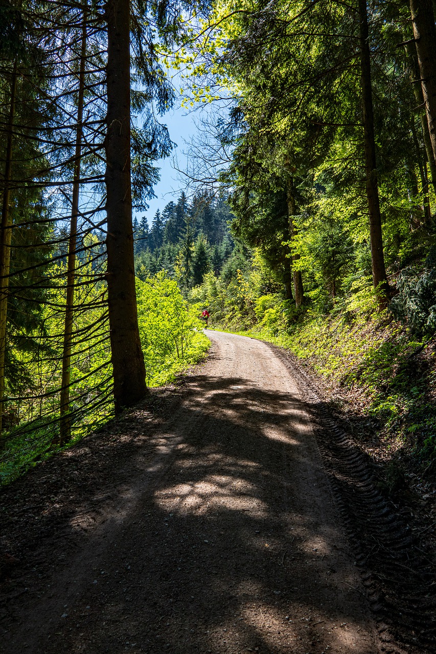 , Nemokamos Nuotraukos,  Nemokama Licenzija