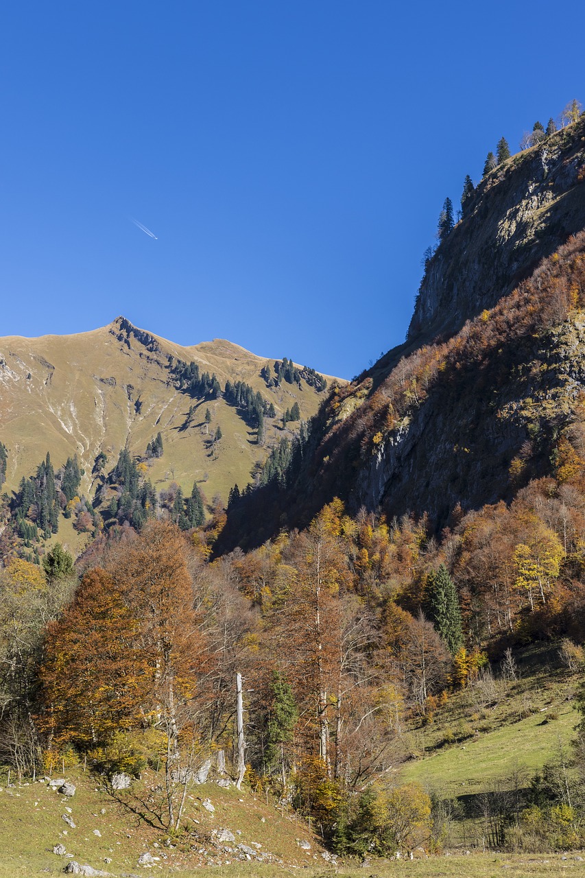 Kalniniai Miškai, Rudens Miškas, Alpių, Allgäu Alpės, Kalnai, Rudens Spalvos, Allgäu, Kalnų Panorama, Kalnų Peizažas, Žygiai