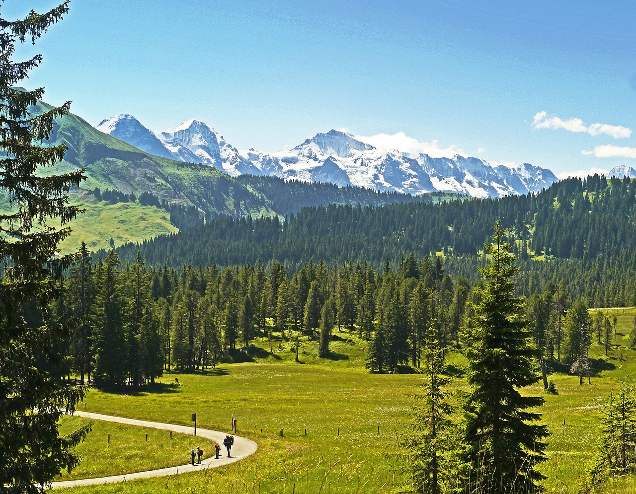 Kalnų Žygiai,  Aukštos Slėnis,  Spygliuočių Miškas,  Spygliuočių,  Almen,  Kalnų Ganyklos,  Sultinga,  Berno Oberland,  Kalnų,  Eiger