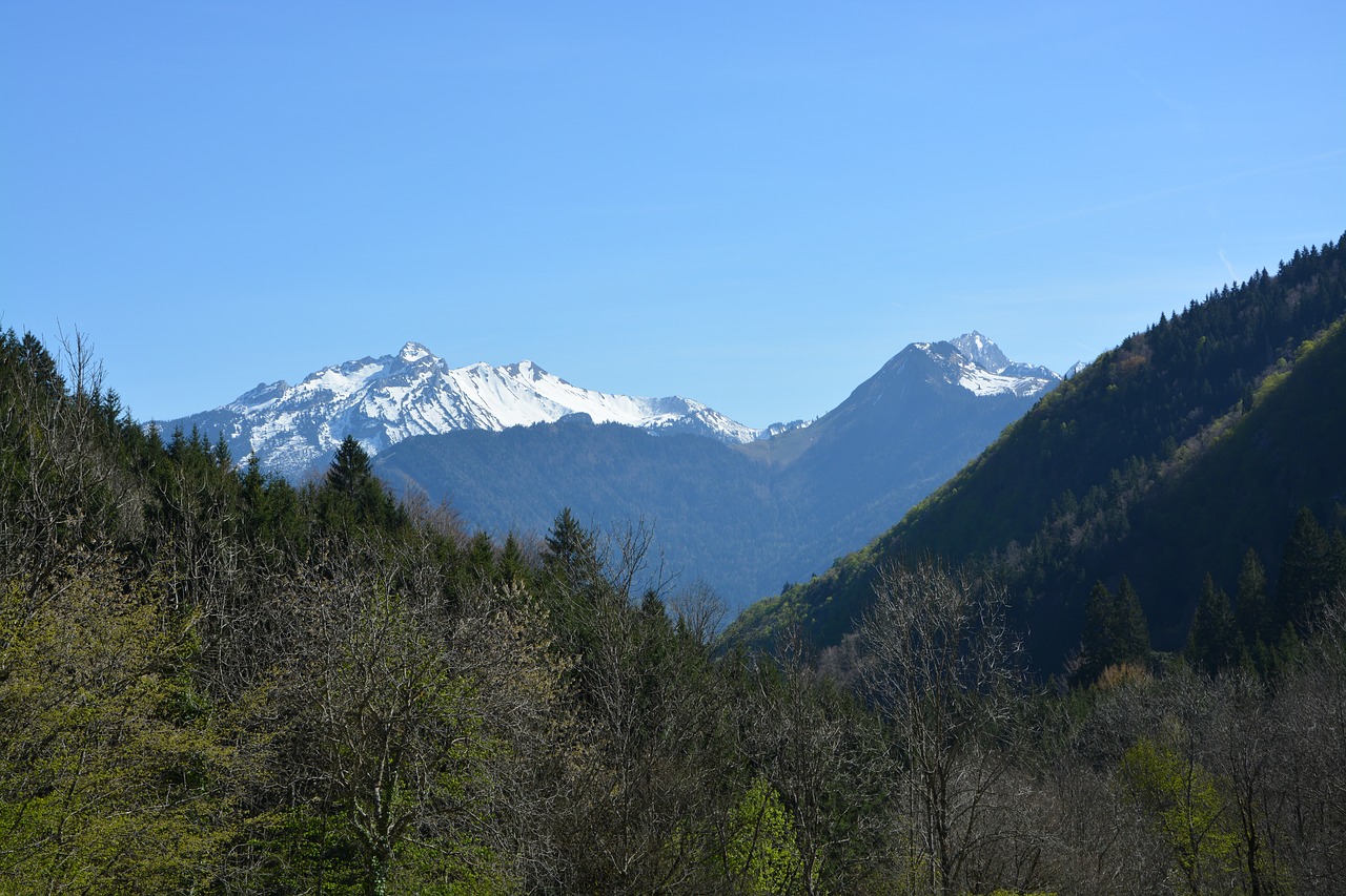 Kalnų Peizažas, Haute-Savoie, Amžinas Sniegas, Eglė, Miškas, Žygiai, Mont Blanc, France, Panoraminiai Vaizdai, Kalnas