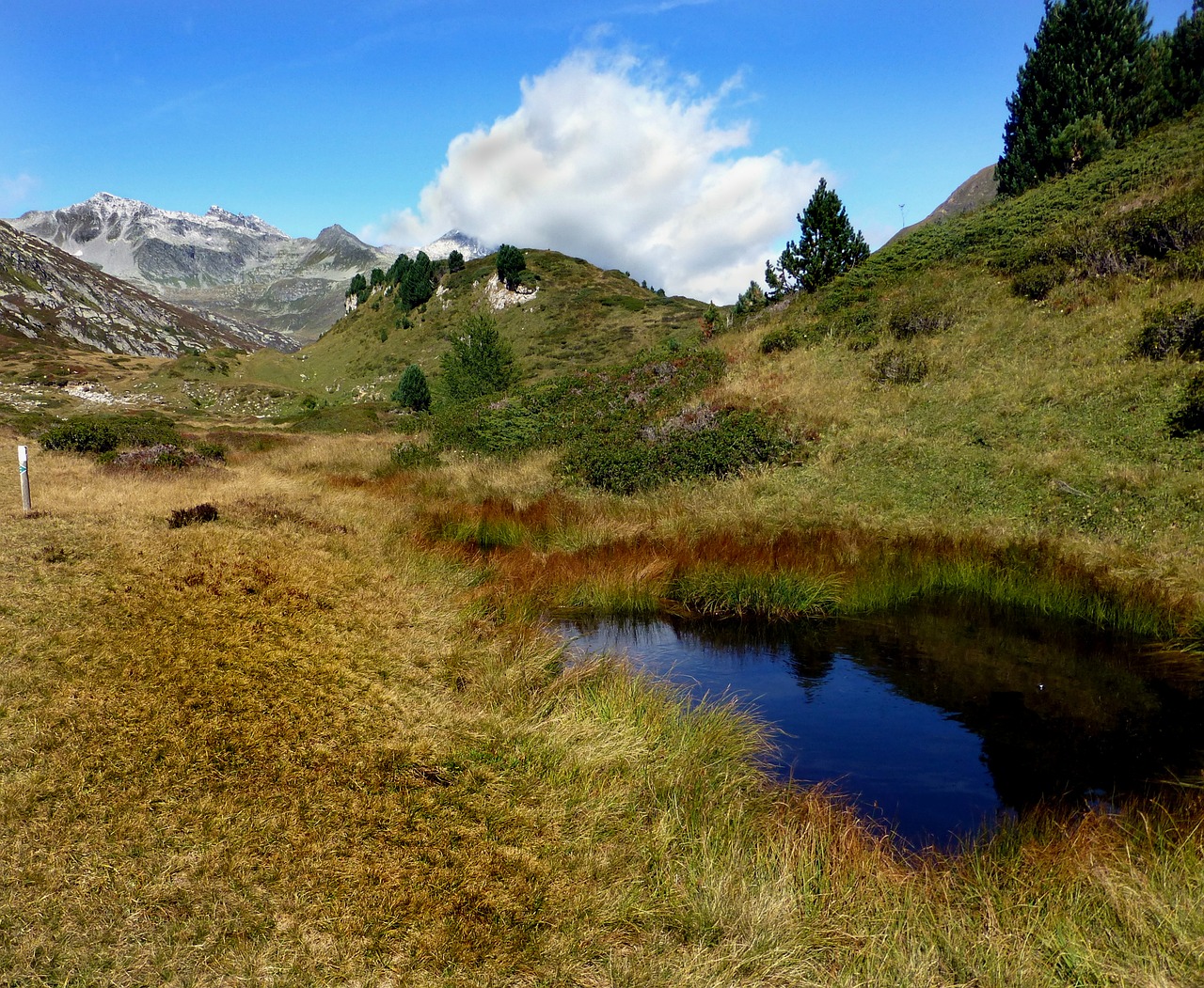 Kalnų Kraštovaizdis,  Lukmanier Perduoti,  Šveicarija, Nemokamos Nuotraukos,  Nemokama Licenzija