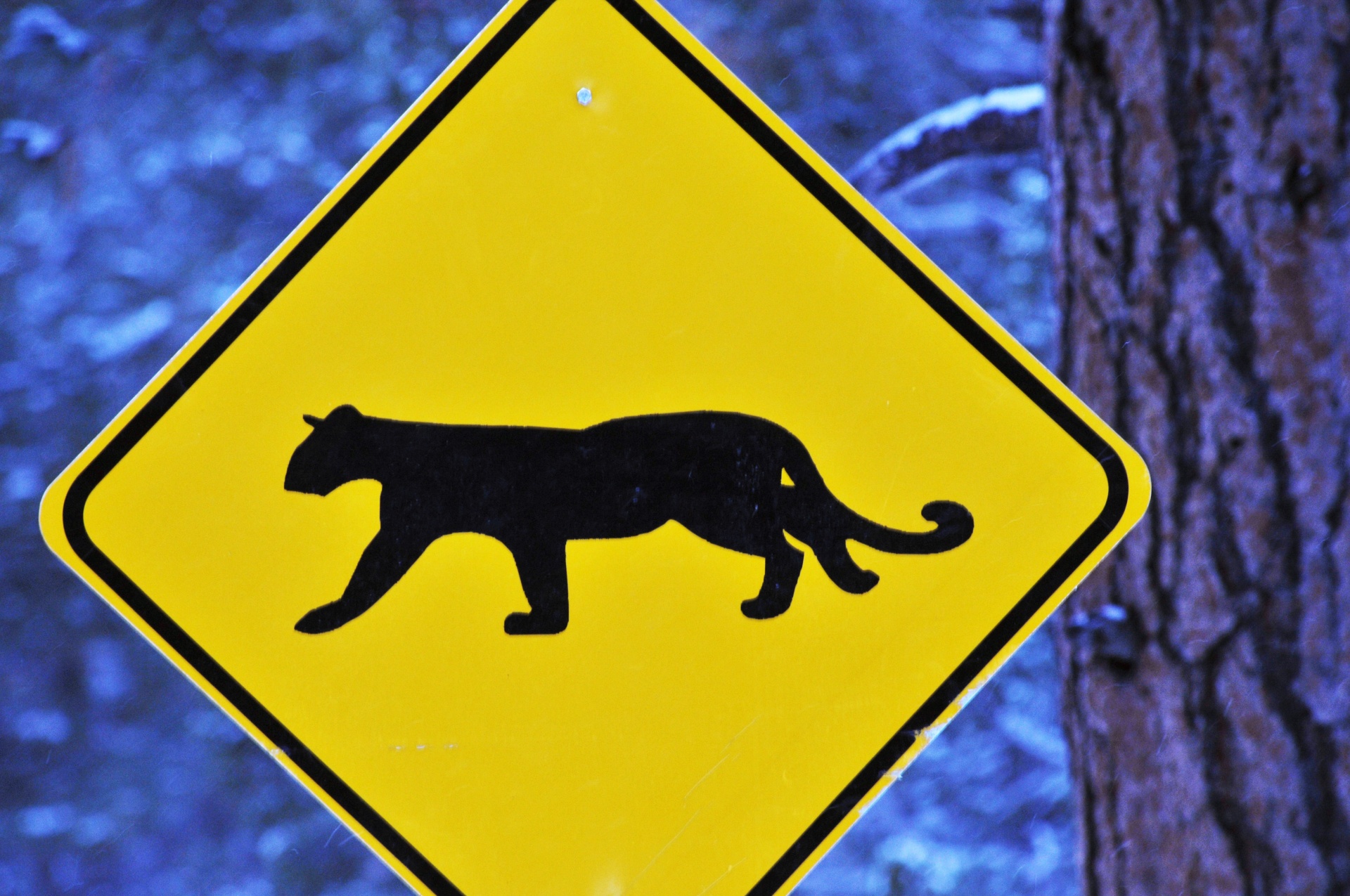 Символ дикой природы. Знак животных. Знак осторожно животные. Дорожный знак осторожно звери. Предупреждающие знаки о животных.