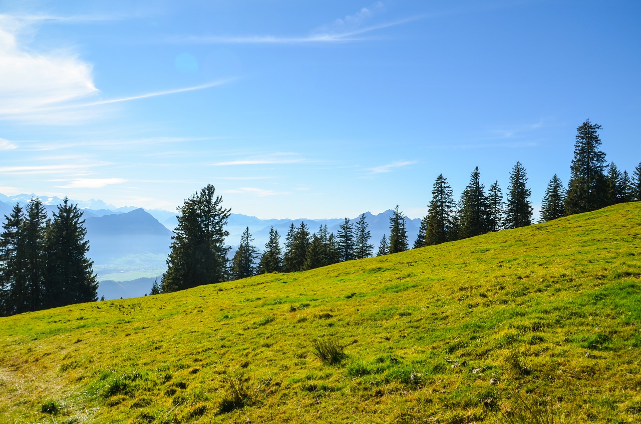 Kalnų Pieva, Žygiai, Šveicarija, Rigi, Miškas, Gamta, Dangus, Tolimas Vaizdas, Kalnai, Alpių