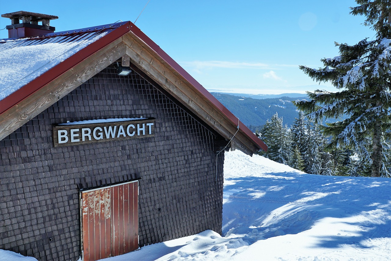 Kalnų Gelbėjimo Tarnyba,  Feldberg,  Kalnų,  Freiburg,  Titisee,  Juodasis Miškas,  Peržiūrėti,  Debesys,  Mėlyna,  Sniegas