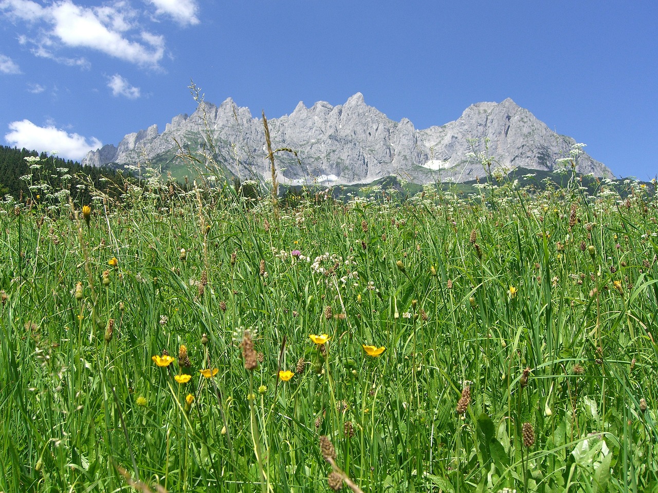 Wilder Kaiser, Kalnų Pusė, Tirol, Alpės, Nemokamos Nuotraukos,  Nemokama Licenzija