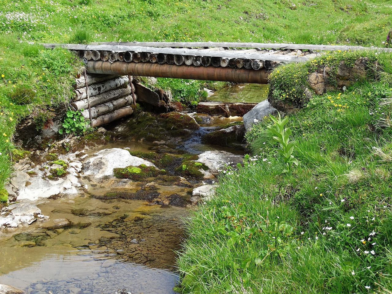 Kalnų Upelis, Tiltas, Medinis Tiltas, Gamta, Kalnų Peizažas, Mediena, Medžių Kamienus, Pieva, Nemokamos Nuotraukos,  Nemokama Licenzija