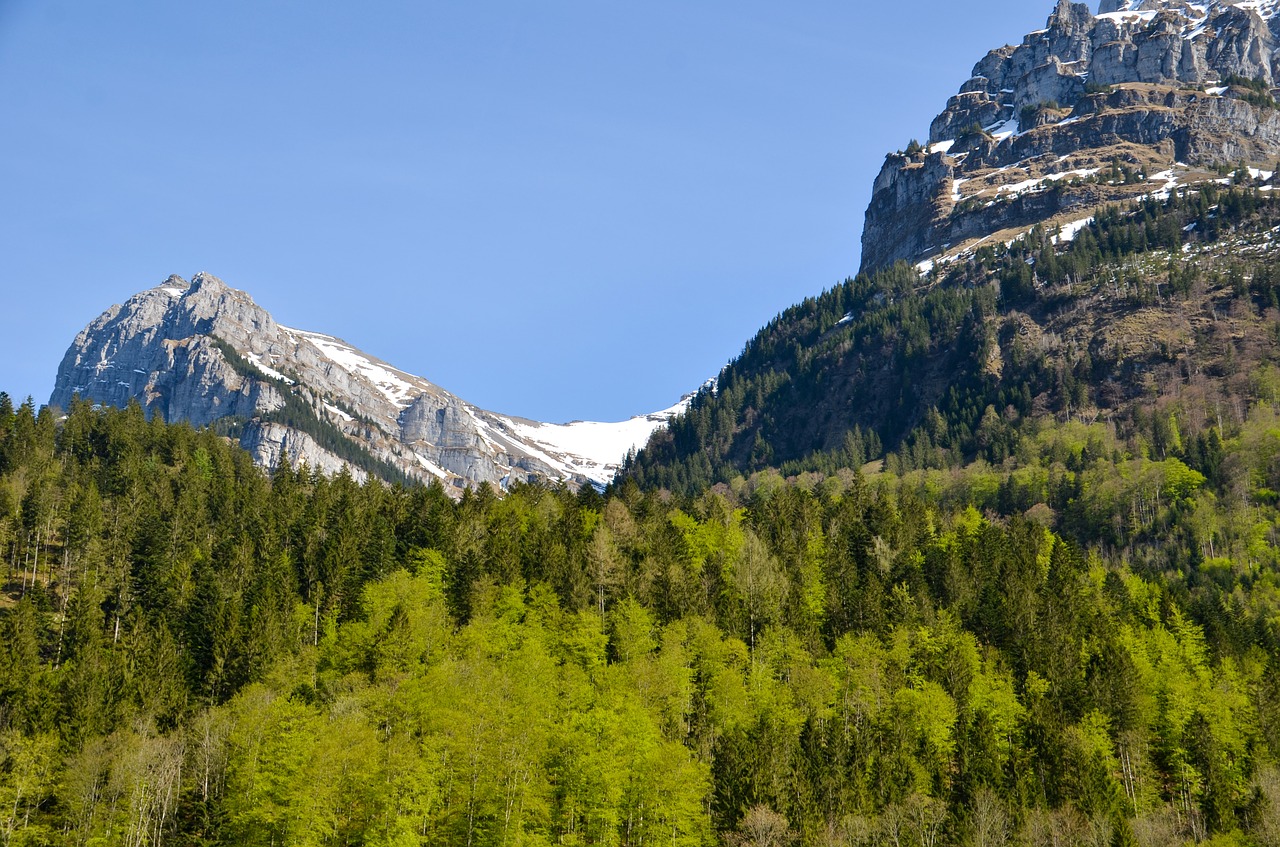 Kalnų Viršūnių Susitikimas,  Kalnai,  Masyvas,  Summit,  Panorama,  Alpine,  Šveicarija,  Glarus,  Pobūdį,  Kraštovaizdis