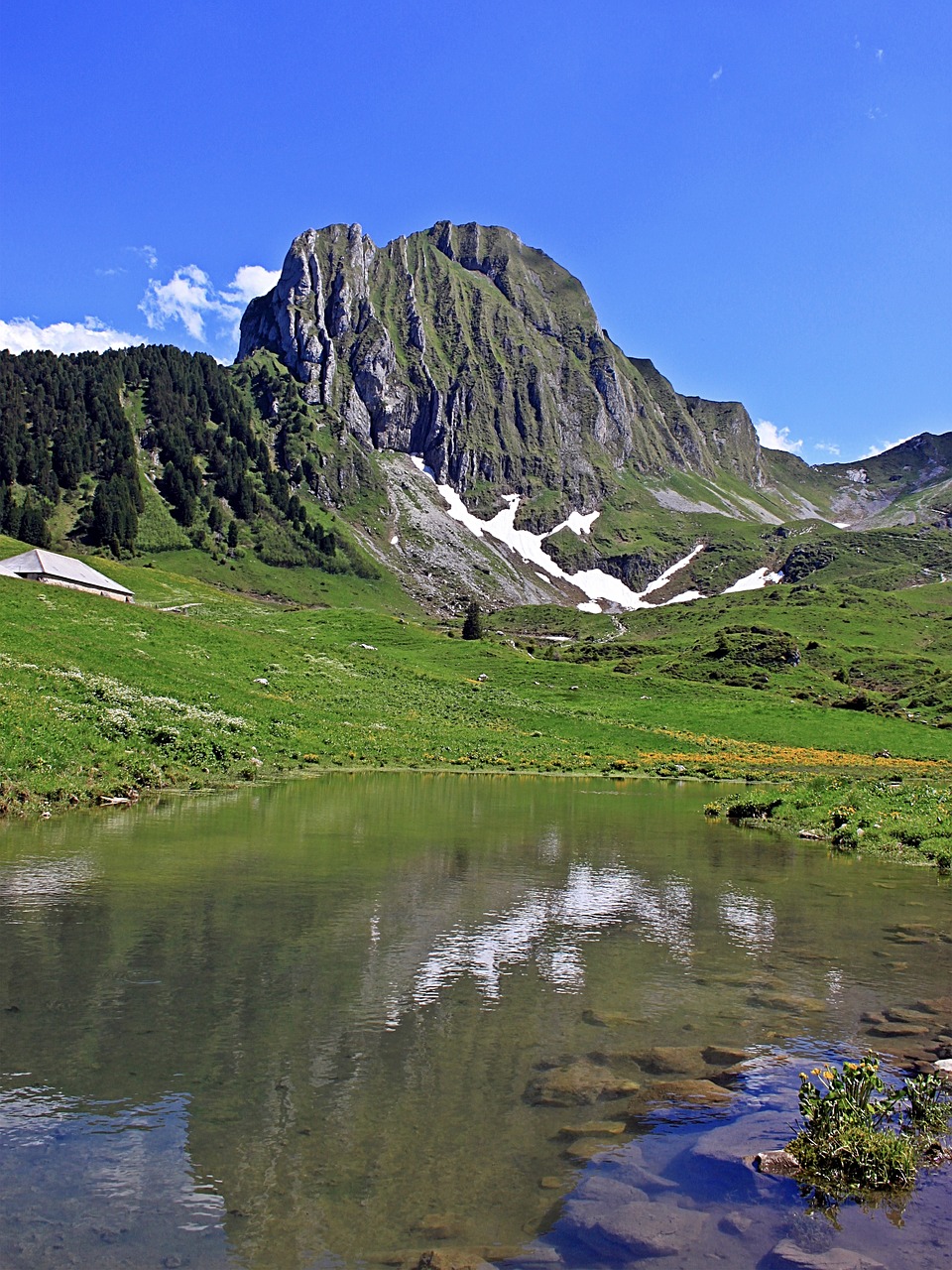 Kalnų Pasaulis, Bergsee, Alpių, Gamta, Kraštovaizdis, Kalnai, Ežeras, Veidrodis, Šveicarija, Kalnai