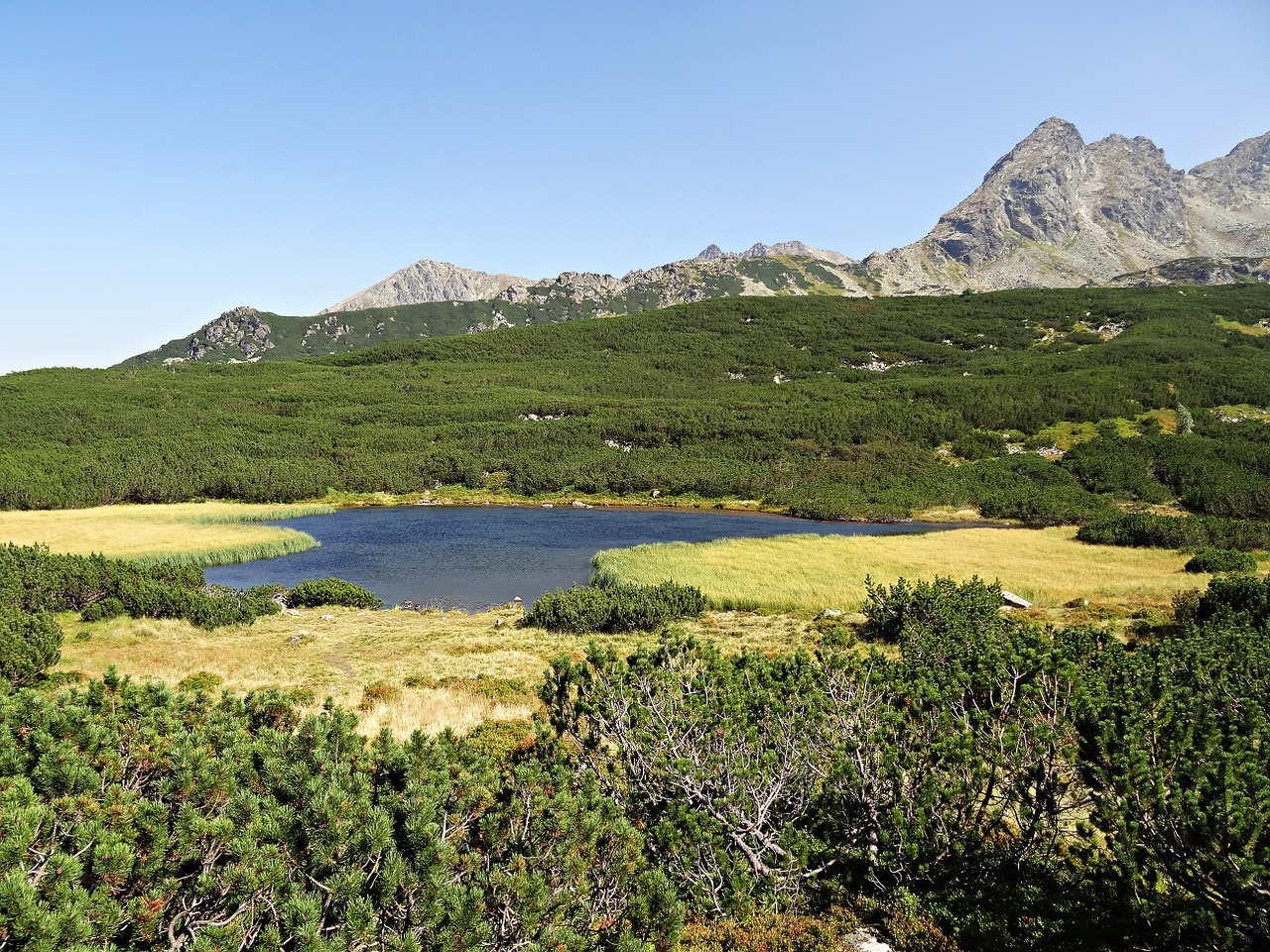 Kalnai, Miškas, Panorama, Vaizdas, Kraštovaizdis, Medis, Gamta, Lenkija, Vaizdas Iš Viršaus, Žalias