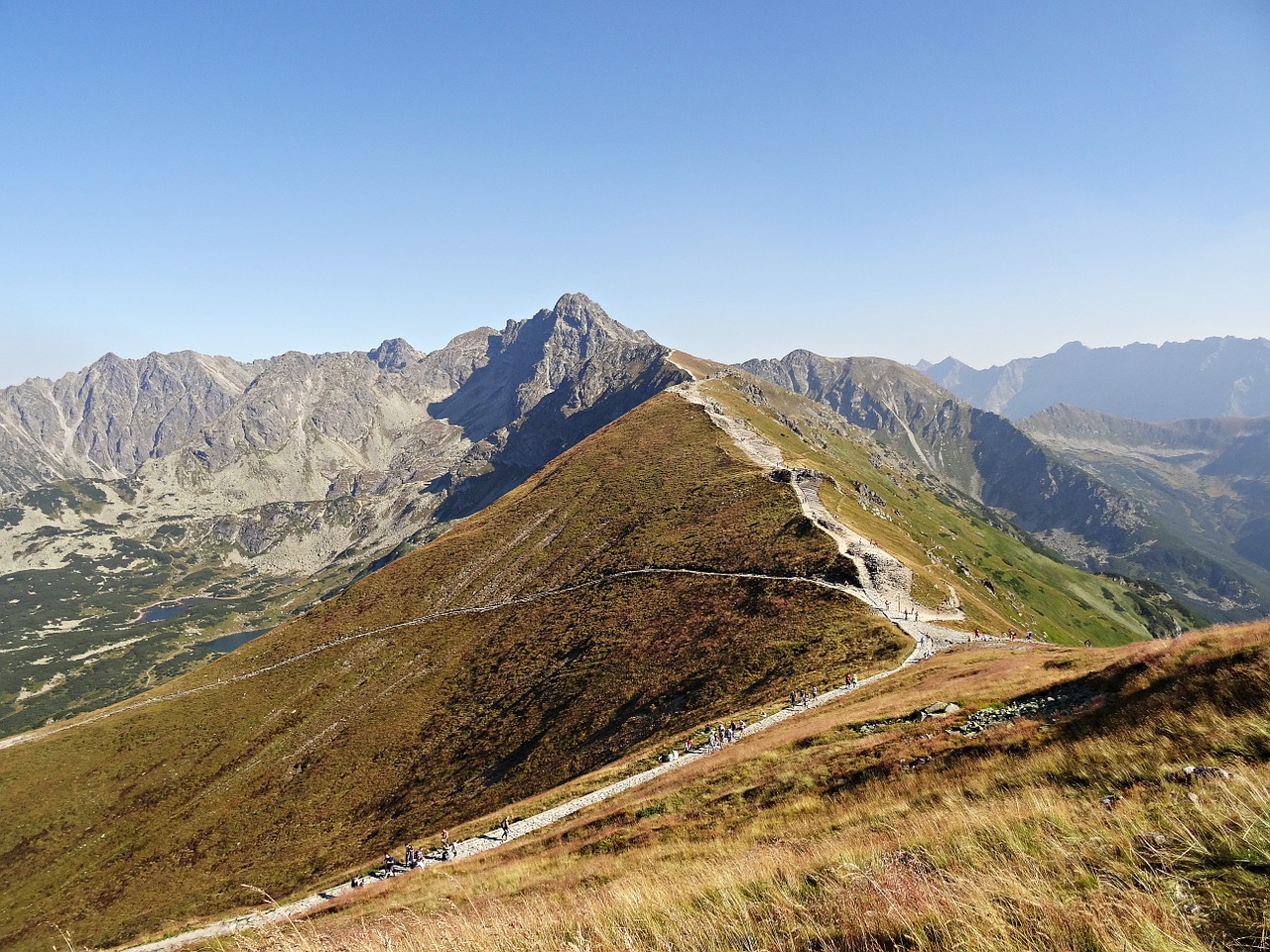 Kalnai, Miškas, Panorama, Vaizdas, Kraštovaizdis, Medis, Gamta, Lenkija, Vaizdas Iš Viršaus, Žalias