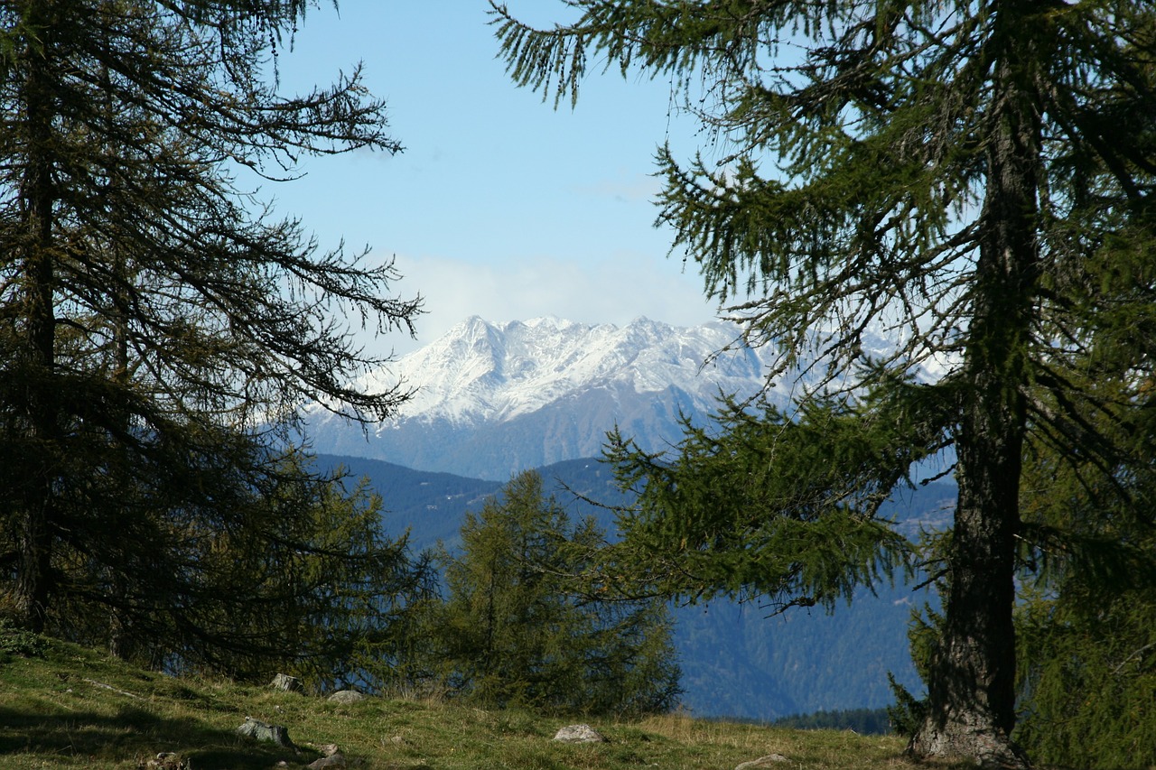 Kalnai, Gamta, Kraštovaizdis, Rokas, Miškas, Tyrol, Nemokamos Nuotraukos,  Nemokama Licenzija