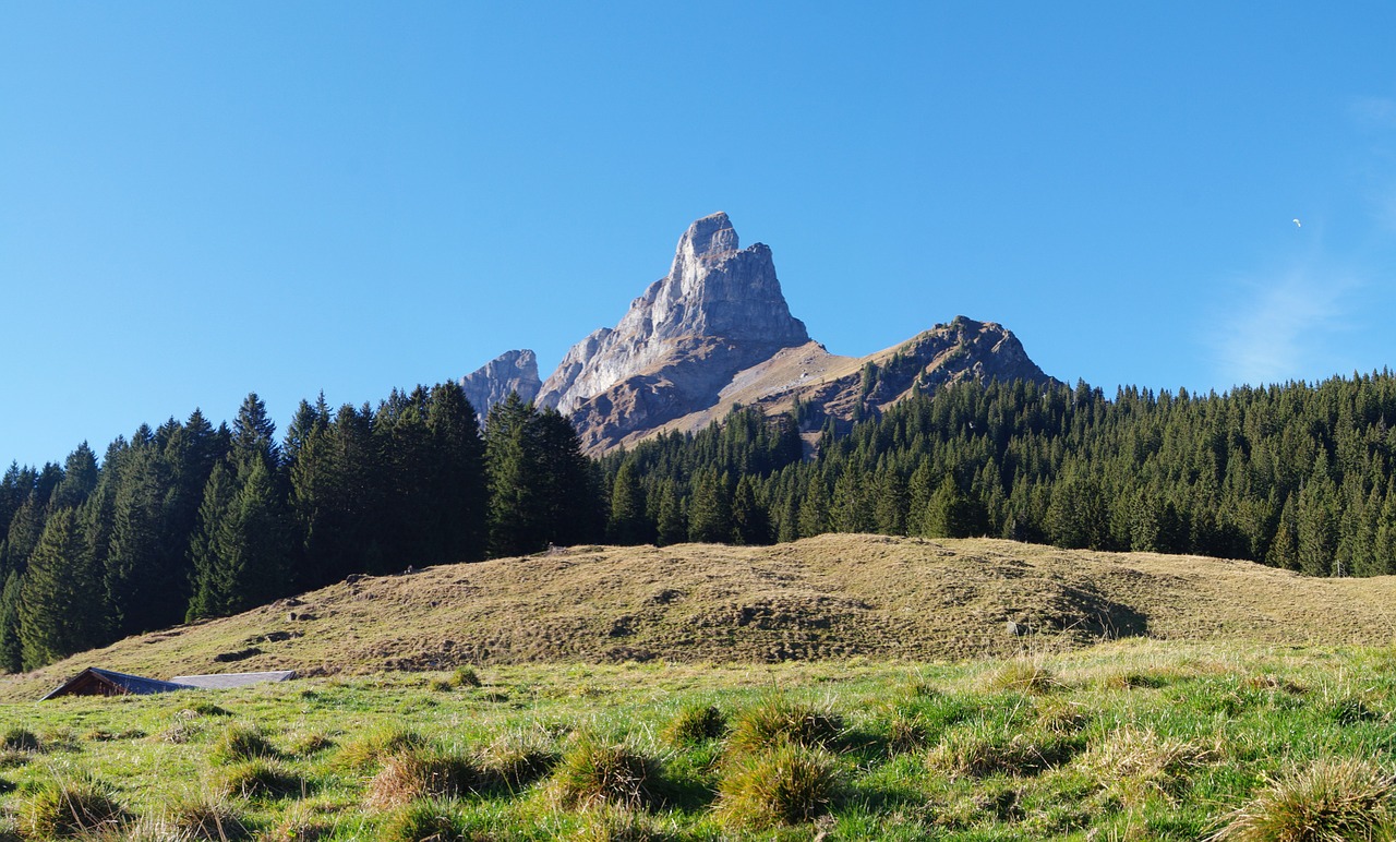 Kalnai, Glarus, Šveicarija, Höch Turm, Glarus Alps, Kalnas, Panorama, Nemokamos Nuotraukos,  Nemokama Licenzija