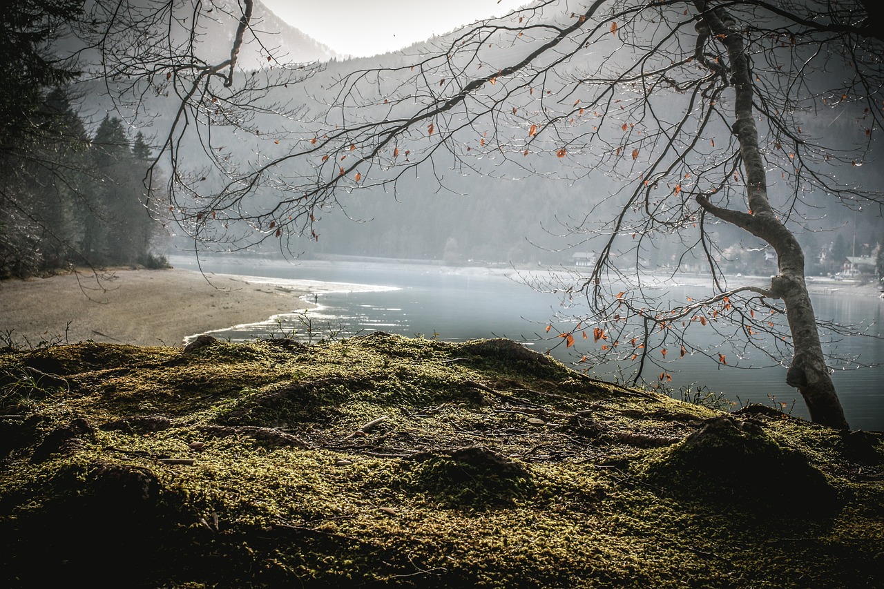 Kalnai, Gamta, Ežeras, Kraštovaizdis, Walchensee, Vanduo, Medžiai, Vokietija, Nemokamos Nuotraukos,  Nemokama Licenzija