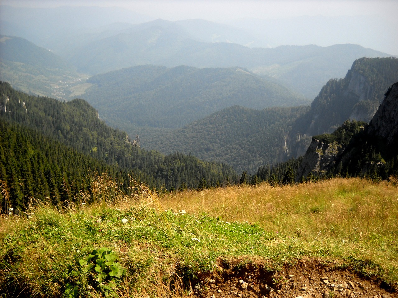 Kalnai, Transilvanija, Gamta, Kraštovaizdis, Pušis, Nemokamos Nuotraukos,  Nemokama Licenzija