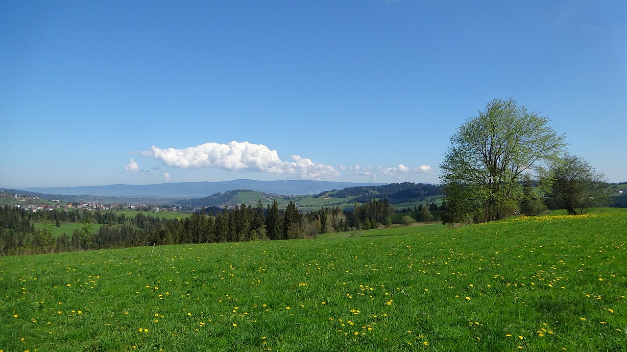 Kalnai, Kraštovaizdis, Lenkija, Gamta, Tatry, Takas, Turizmas, Nemokamos Nuotraukos,  Nemokama Licenzija