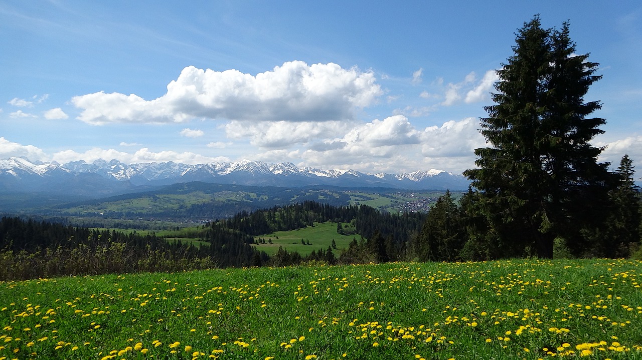 Kalnai, Tatry, Lenkija, Aukštas Tatras, Vaizdas Iš Viršaus, Kraštovaizdis, Nacionalinis Parkas, Nemokamos Nuotraukos,  Nemokama Licenzija