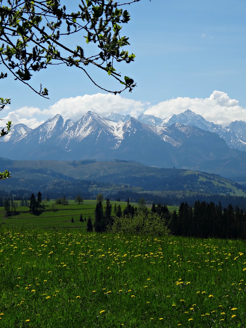 Kalnai, Tatry, Aukštas Tatras, Kraštovaizdis, Nacionalinis Parkas, Gamta, Viršūnės, Pavasaris, Aukštis, Nemokamos Nuotraukos