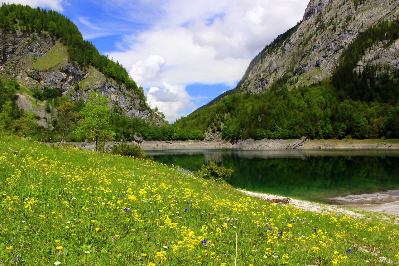 Kalnai, Pieva, Dachsteinas, Alpių, Žygiai, Ežeras, Austria, Bergsee, Dangus, Gamta