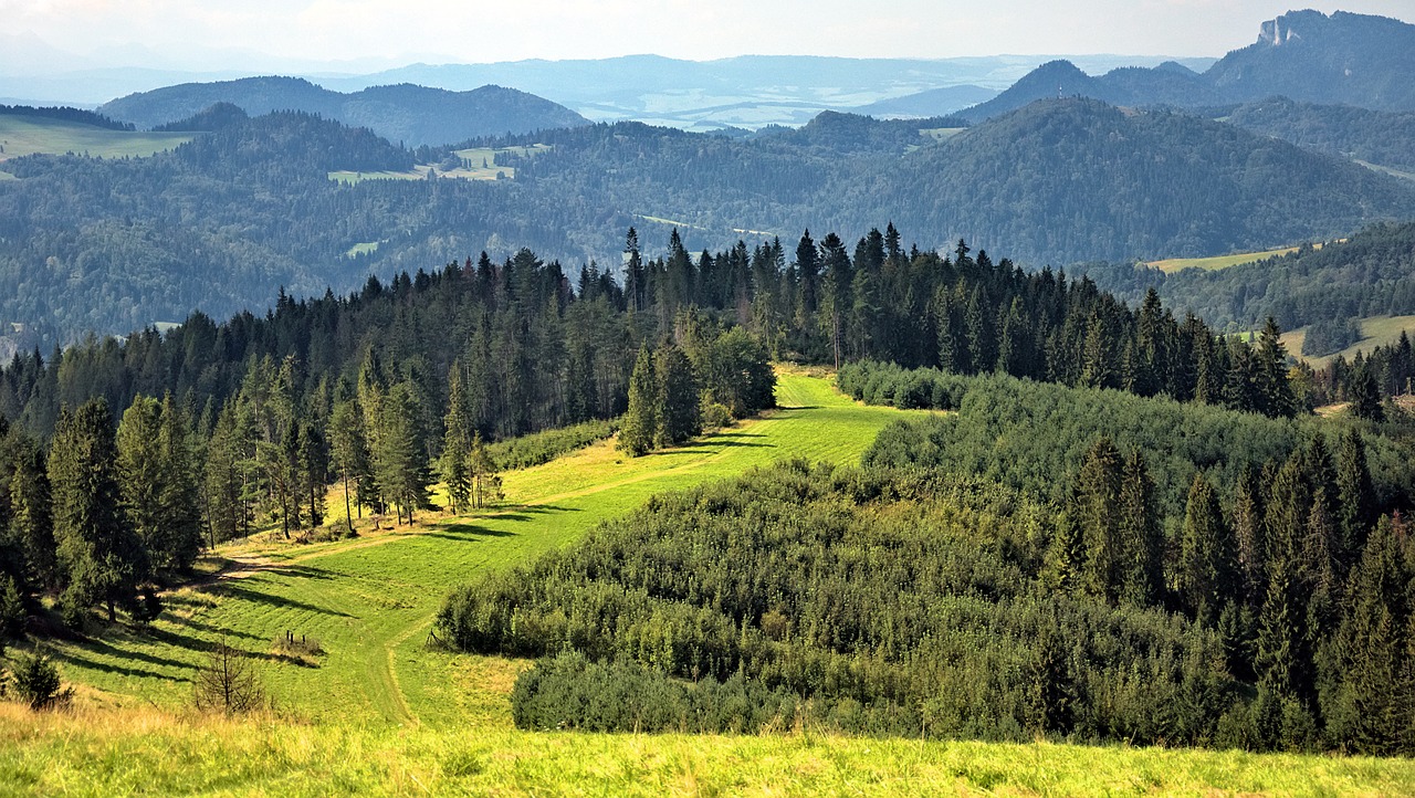 Kalnai, Kraštovaizdis, Beskidai, Radziejowej Grupė, Pieninis, Miškas, Kelias, Vaizdas, Turizmas, Vaizdas Iš Viršaus