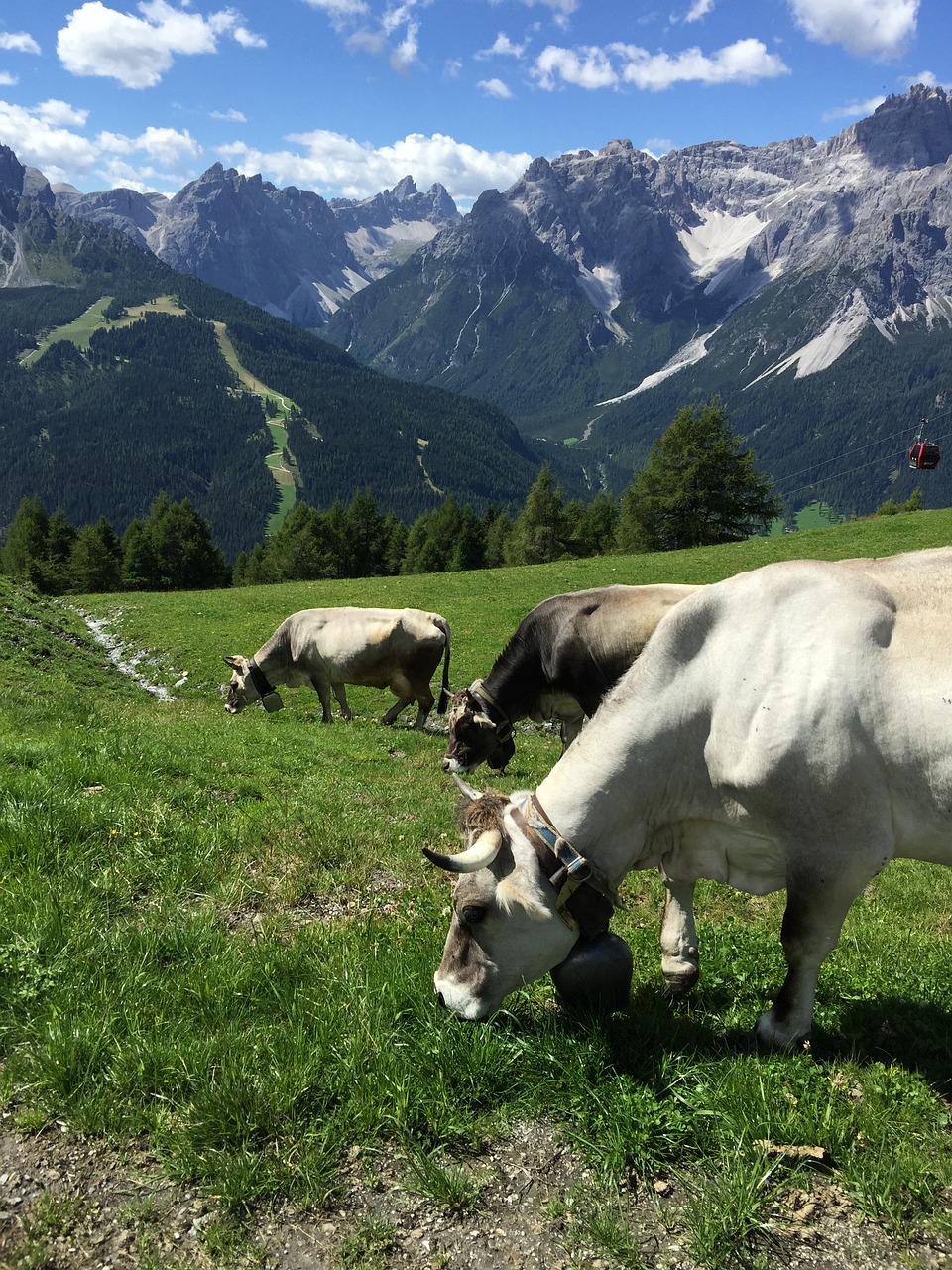 Kalnai, Alpių, Panorama, Kraštovaizdis, Gamta, Austria, Nemokamos Nuotraukos,  Nemokama Licenzija