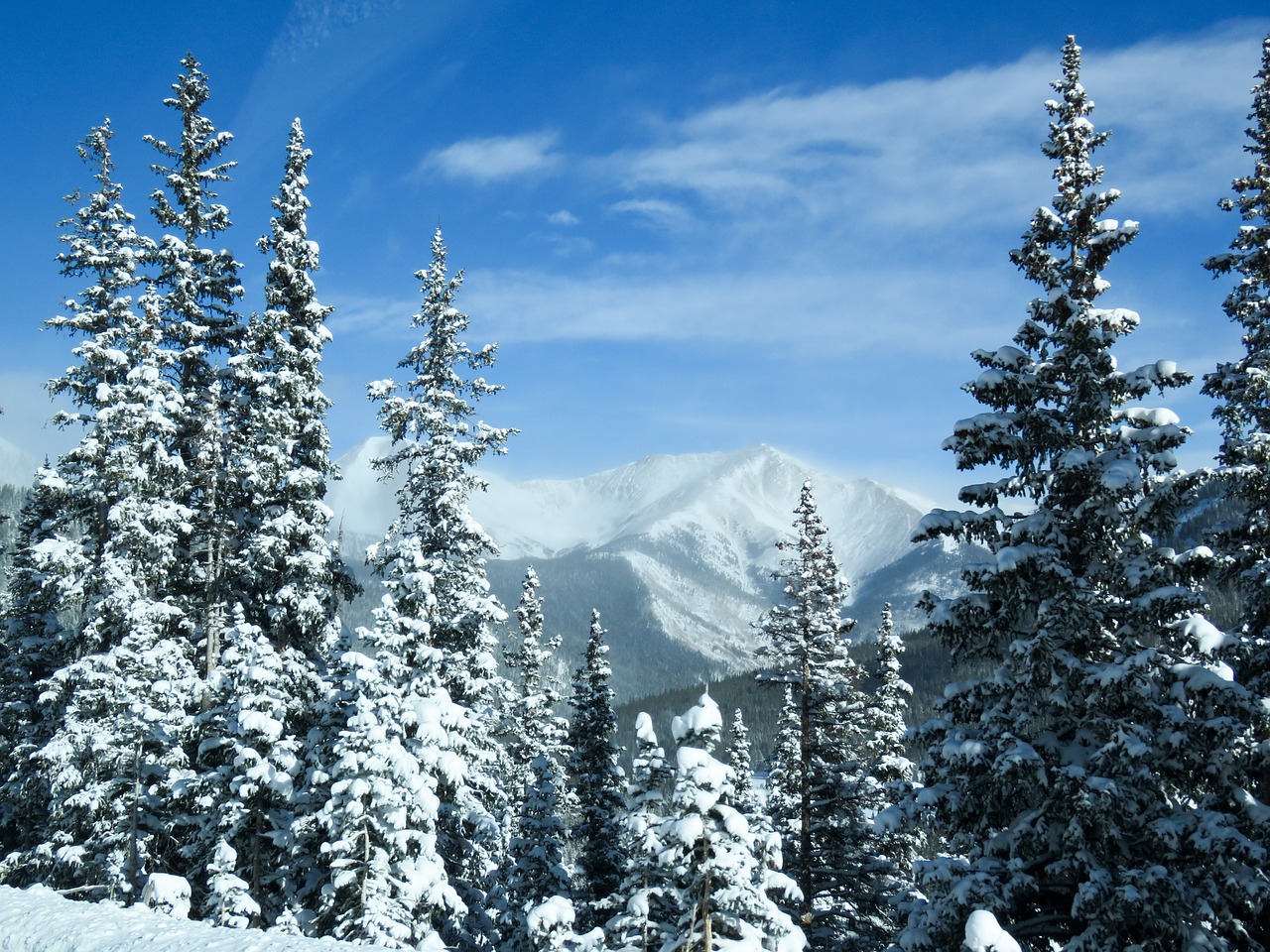 Kalnai, Medžiai, Sniegas, Žiema, Kraštovaizdis, Colorado, Usa, Piko, Kelionė, Lauke