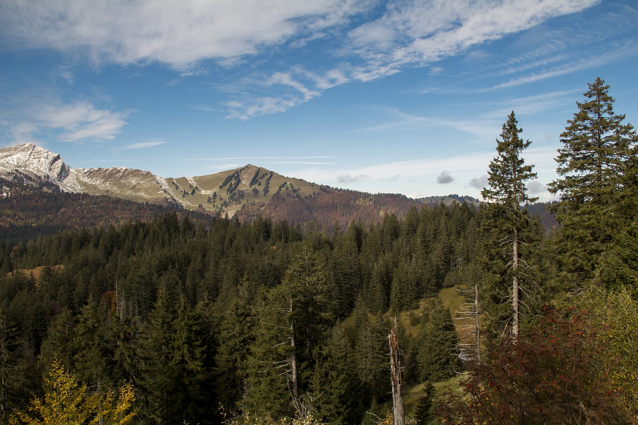 Kalnai, Miškas, Žygiai, Slėnis, Gamta, Nemokamos Nuotraukos,  Nemokama Licenzija