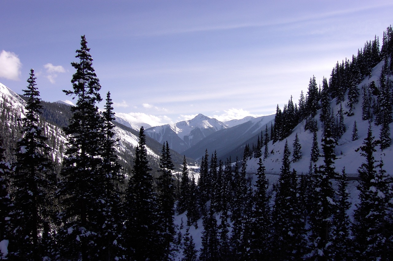 Kalnai, Colorado, Žiema, Sniegas, Miškas, Peizažas, Nemokamos Nuotraukos,  Nemokama Licenzija