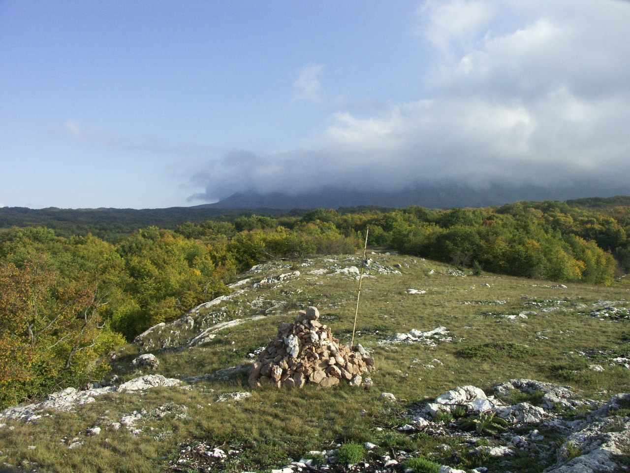 Kalnai, Žaluma, Smailės, Didesnis, Aukštis, Kalvos, Augalai, Flora, Lapai, Debesuota