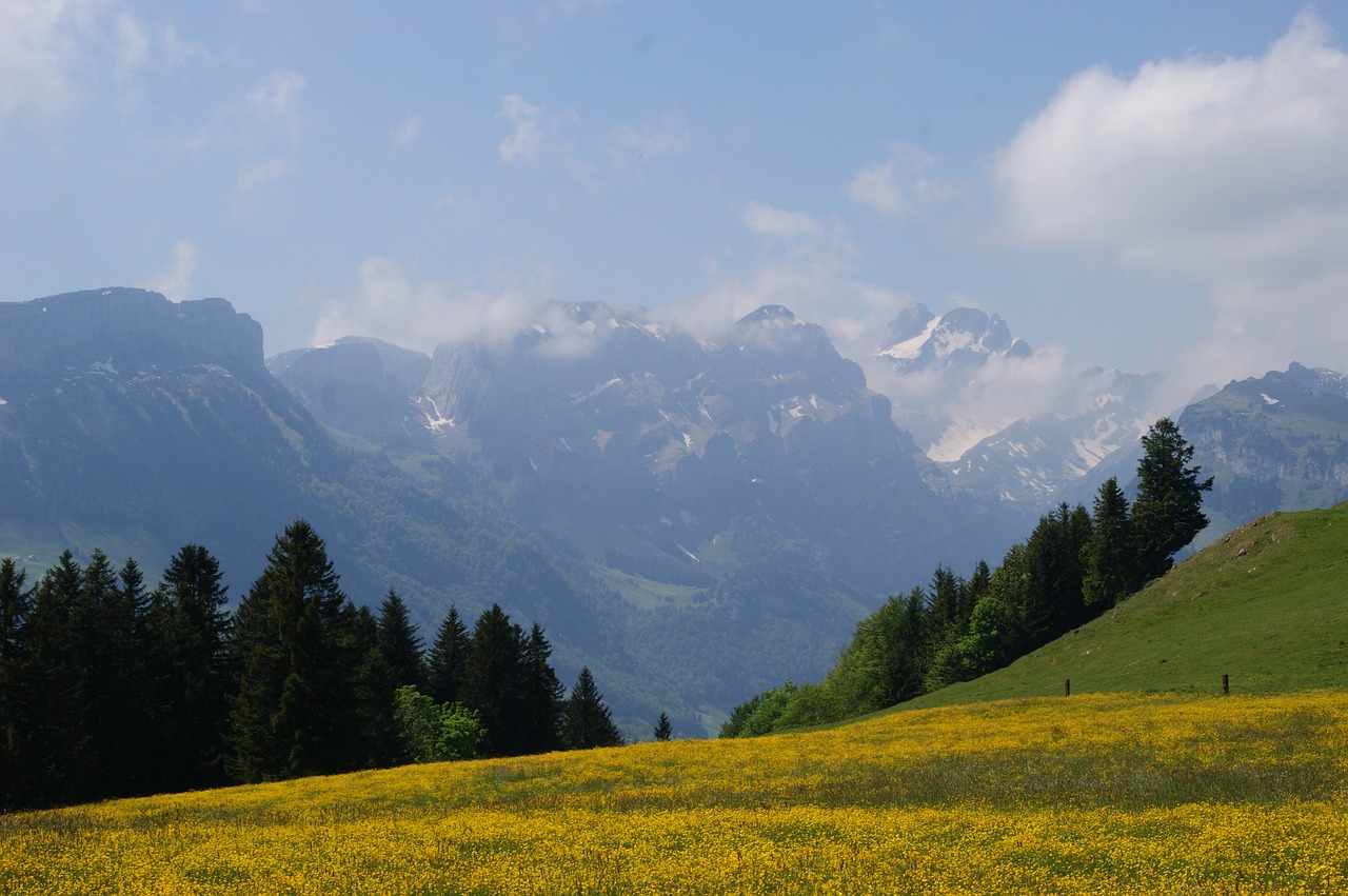 Kalnai, Alpių, Šveicarija, Žygiai, Šventė, Kraštovaizdis, Appenzell, Appenzellerland, Kalnų Pieva, Bergweide
