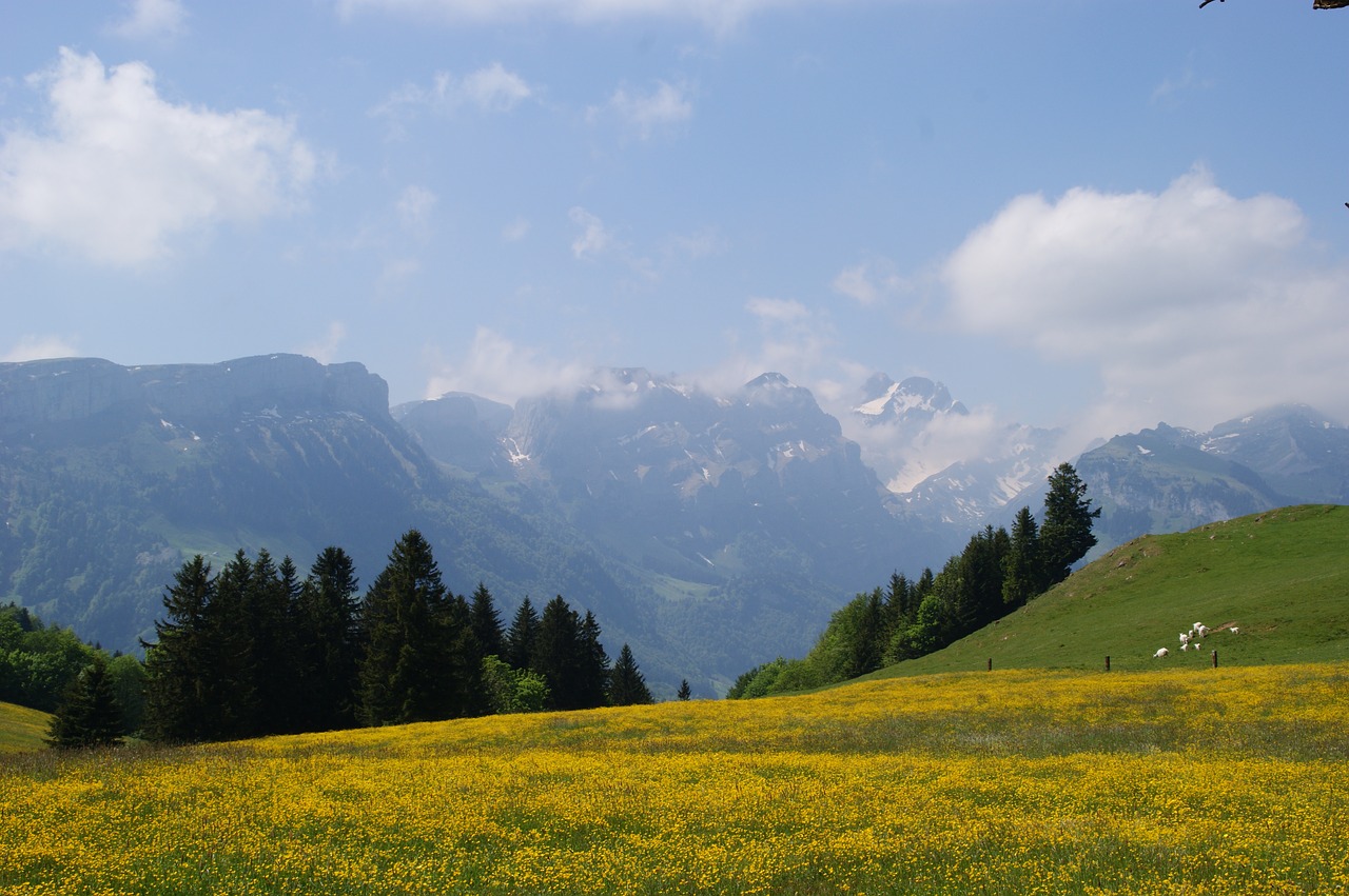 Kalnai, Kalnų Pieva, Bergweide, Alpių, Šveicarija, Appenzell, Appenzellerland, Panorama, Nemokamos Nuotraukos,  Nemokama Licenzija