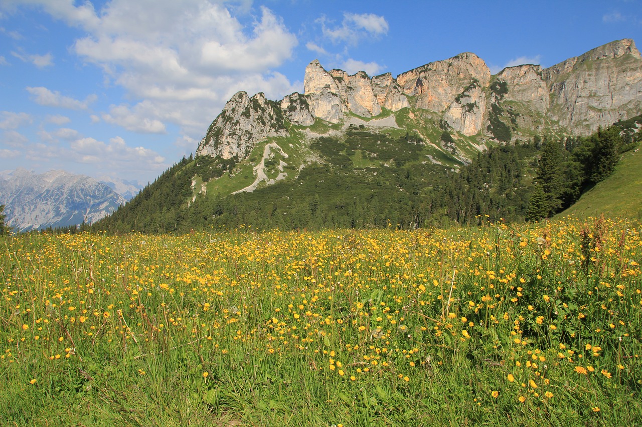 Kalnai, Pieva, Buttercup, Geltona, Alpių, Kraštovaizdis, Vasara, Debesys, Nemokamos Nuotraukos,  Nemokama Licenzija