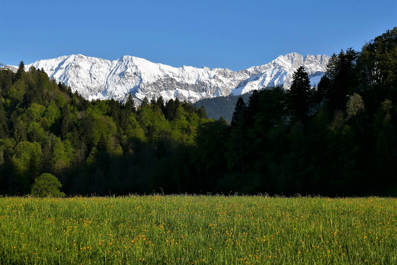 Kalnai, Alpių, Karwendel, Garmisch Partenkirchen, Bavarija, Vokietija, Sniegas, Pranešta, Gėlės, Medžiai
