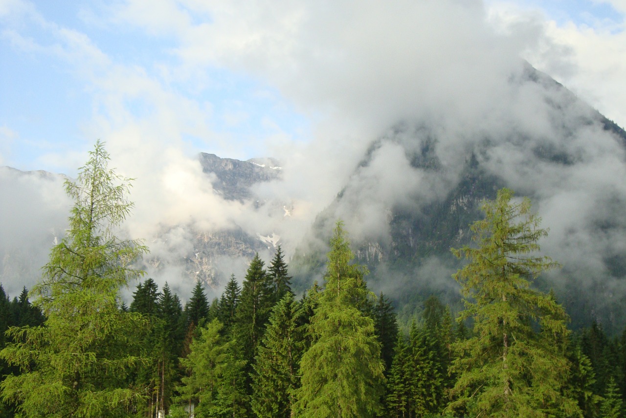 Kalnai, Rūkas, Achensee, Miškas, Spygliuočių Miškas, Alpių, Nemokamos Nuotraukos,  Nemokama Licenzija