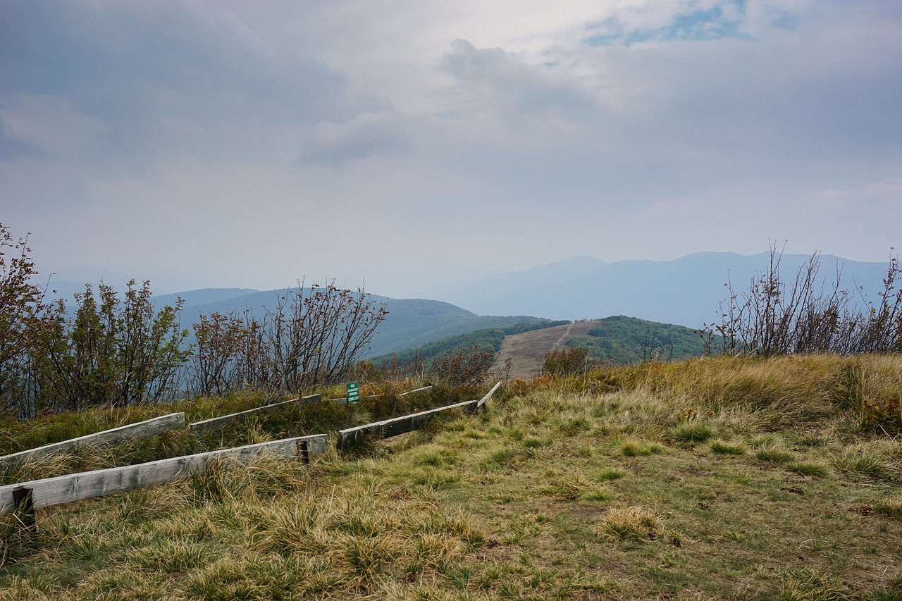 Kalnai, Kelias, Žygių Takas, Kelias, Turizmas, Debesuota, Didelė Rawka, Bieszczady, Lenkija, Kraštovaizdis