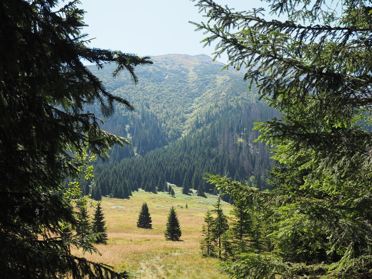 Kalnai, Poliana, Gamta, Tatry, Lenkija, Kraštovaizdis, Nemokamos Nuotraukos,  Nemokama Licenzija