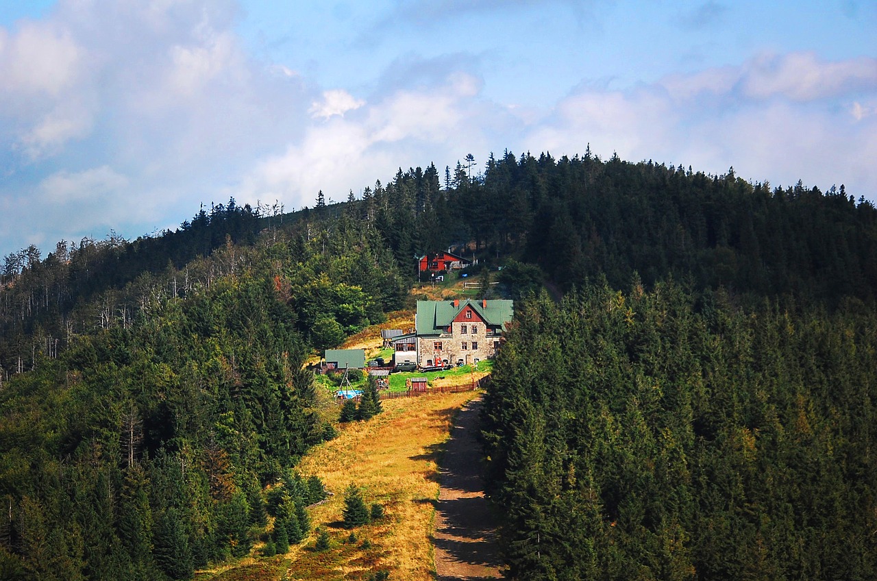 Kalnai, Namas, Jaunimas, Pastatas, Kelionė, Vaizdas, Kraštovaizdis, Stok, Panorama, Miškas