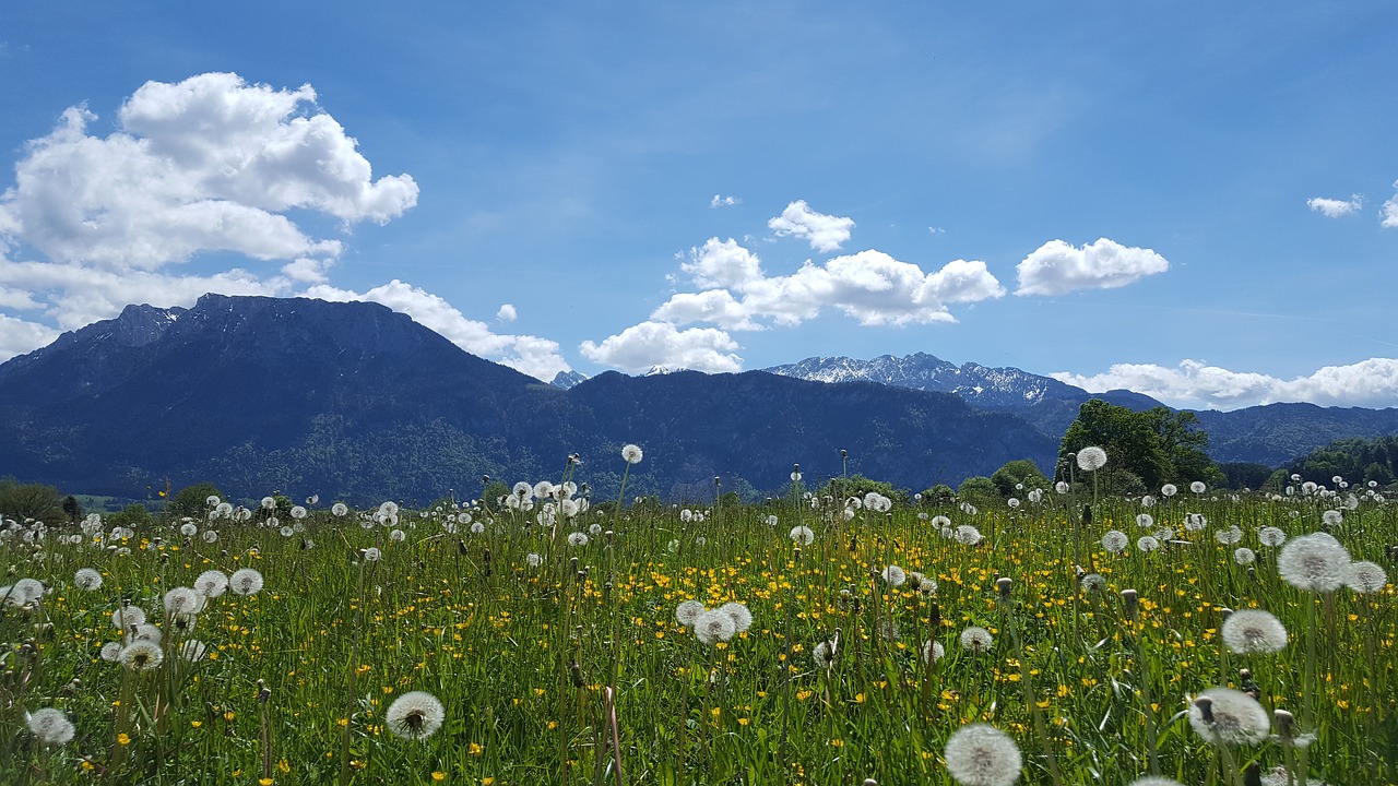 Kalnai, Tyrol, Kraštovaizdis, South Tyrol, Dangus, Debesys, Mėlynas, Kalnų Viršūnė, Žygis, Panorama