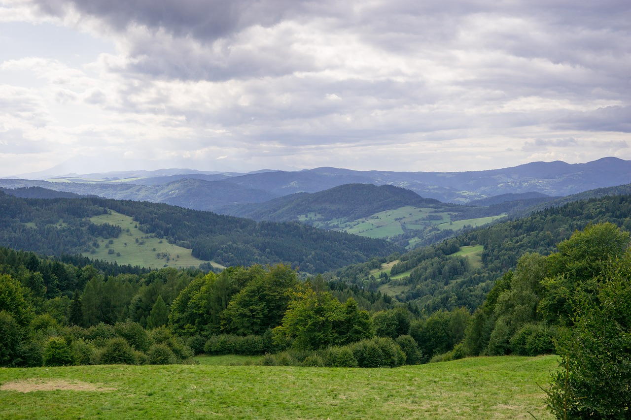 Kalnai, Vaizdas, Debesys, Debesų Danga, Miškas, Vasara, Kraštovaizdis, Beskidai, Beskid Sądecki, Lenkija