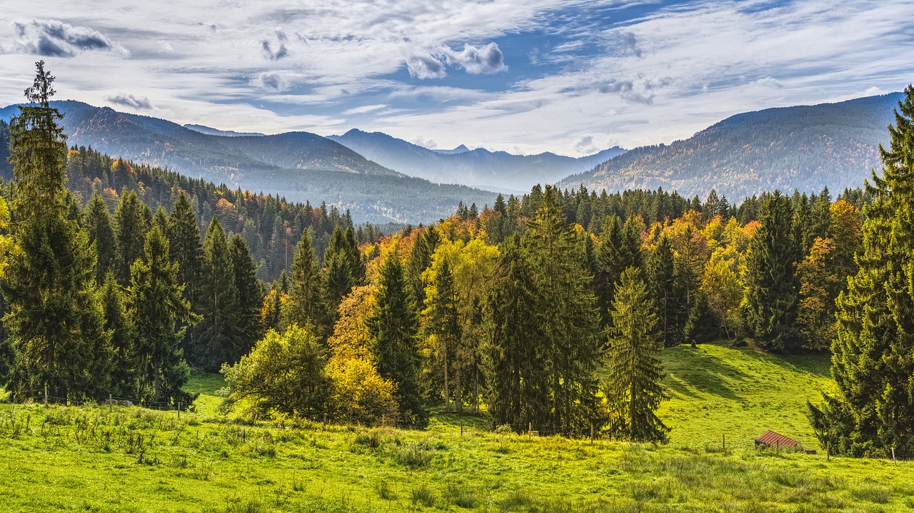 Kalnai, Vaizdas, Miškas, Ruduo, Alpių, Gražus, Pieva, Spalva, Šviesus, Numatymas