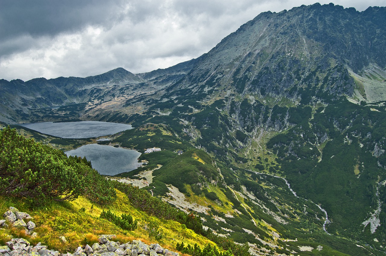 Kalnai, Tatry, Aukštas Tatras, Slėnis, Dolina Pięciu Stawów Polskich, Ruduo, Gamta, Kalninė Pušis, Žygių Takas, Takas