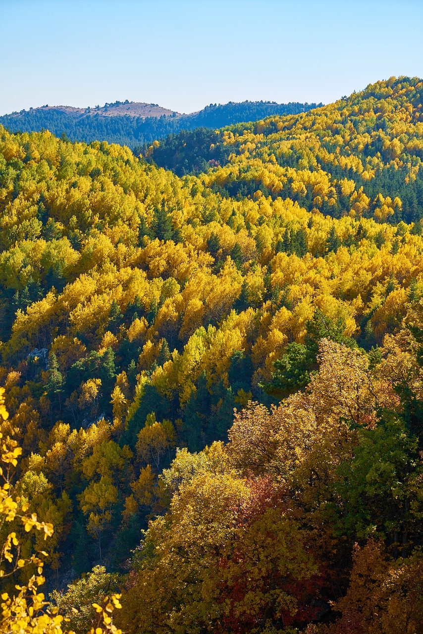 Kalnai, Medžiai, Ruduo, Gamta, Kalnas, Kraštovaizdis, Fonas, Miškas, Taika, Pavasaris