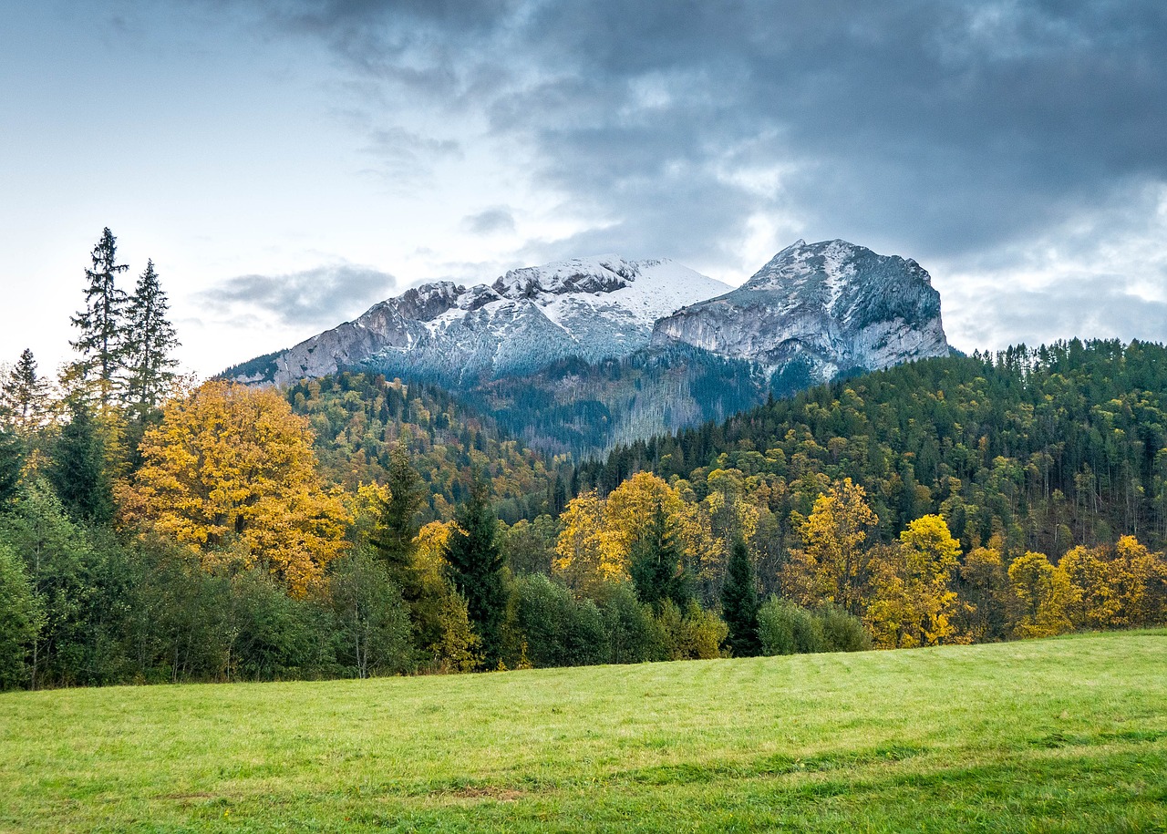 Kalnai, Belanské Tatry, Akmenys, Dangus, Debesys, Ruduo, Medžiai, Pieva, Kalnų Viršūnė, Tatry