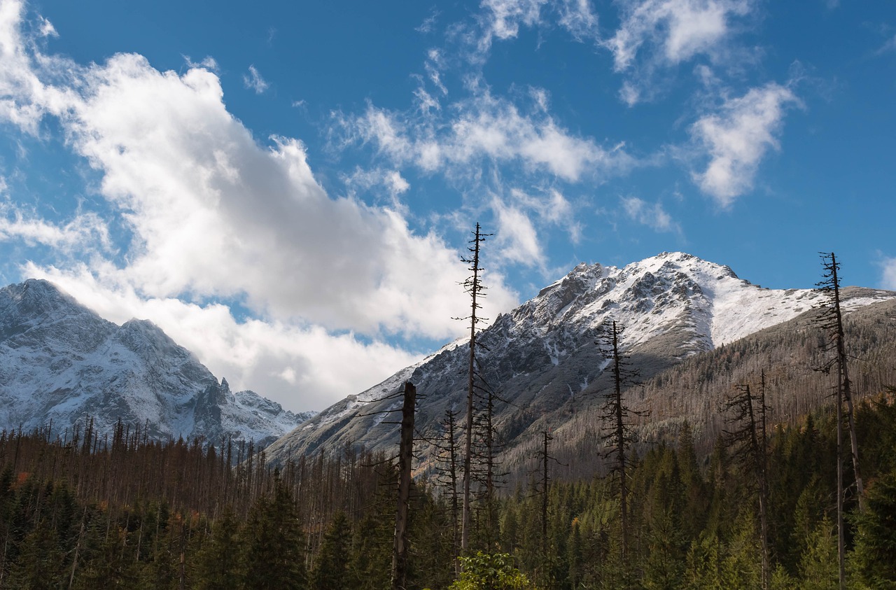 Kalnai, Tatry, Sniegas, Kraštovaizdis, Kalnas, Nemokamos Nuotraukos,  Nemokama Licenzija