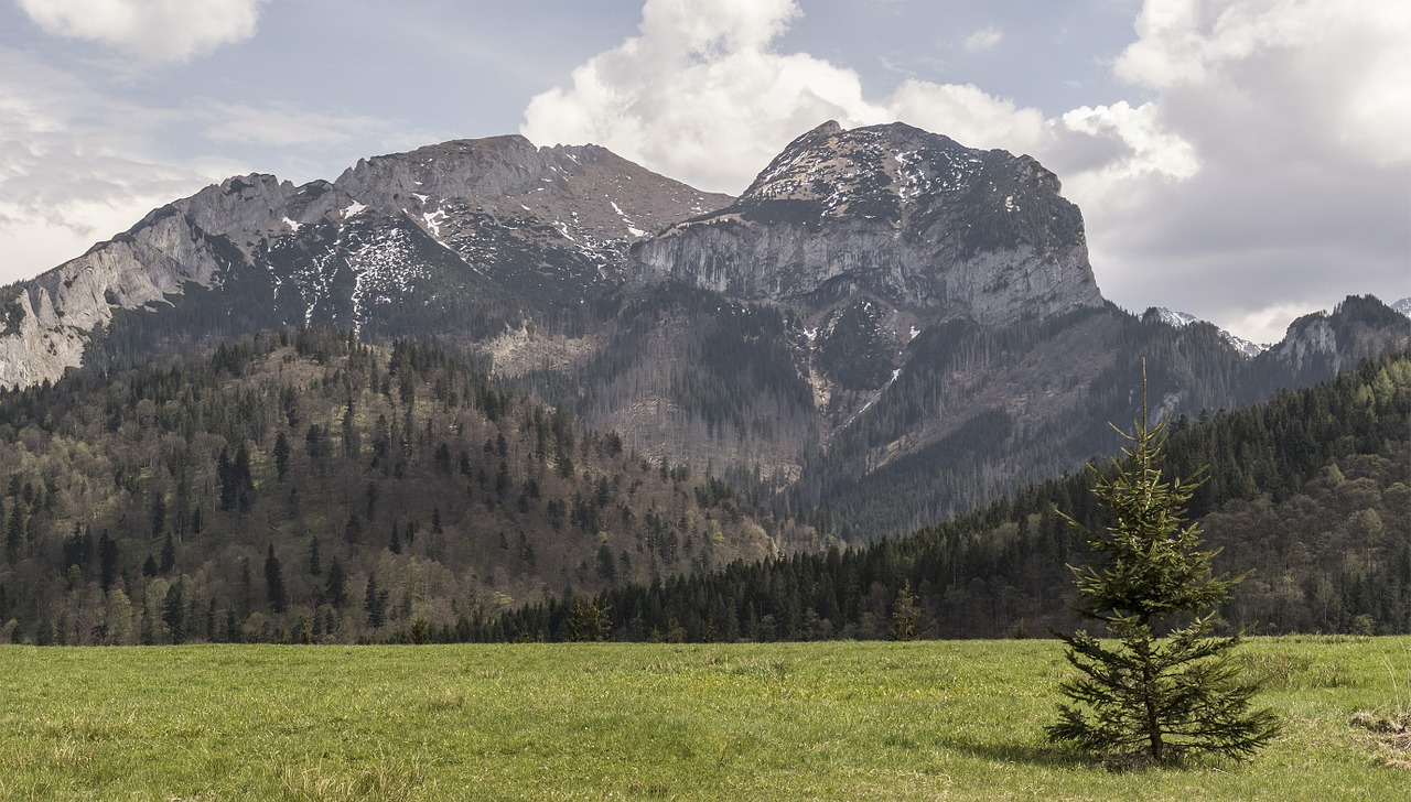 Kalnai, Tatry, Gamta, Viršuje, Lenkija, Kalnas, Peizažas, Nacionalinis Parkas, Aukštas, Aukštas Tatras