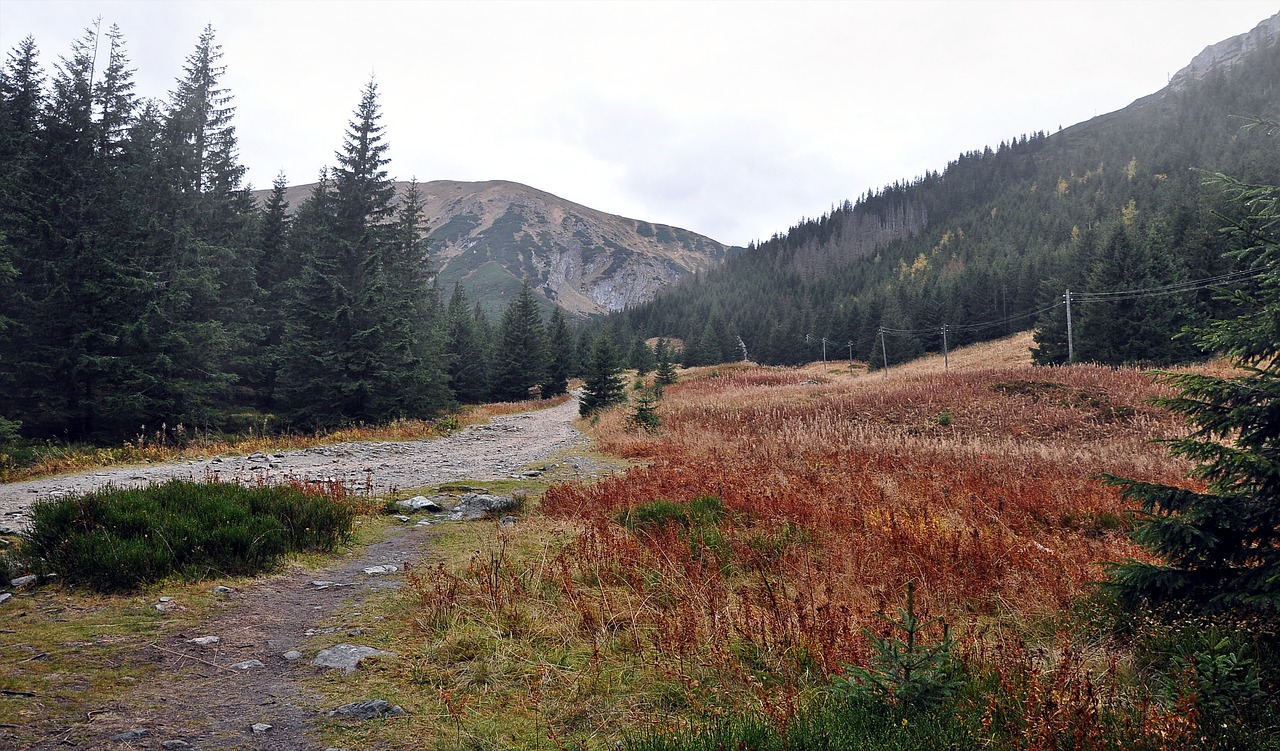 Kalnai,  Tatry,  Peržiūrėti,  Takas,  Kelias,  Kliringo,  Rūkas,  Ruduo,  Kraštovaizdis,  Pobūdį