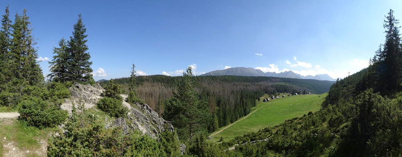 Kalnai,  Lenkija,  Palaidotas,  Kraštovaizdis,  Pobūdį,  Turizmas,  Tatry,  Panorama,  Viršūnes,  Vaizdas